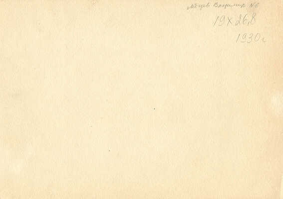 Лебедев Владимир Васильевич. В цирке 